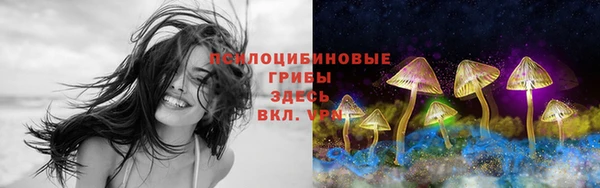 2c-b Балахна