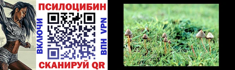Псилоцибиновые грибы GOLDEN TEACHER  где купить   Сосновка 